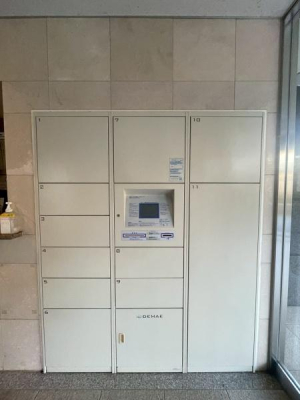 �����s�����q�s�z��̒��Ã}���V�����̂��̑����p��