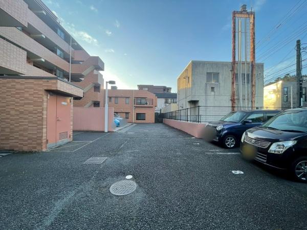 �����s�����q�s�z��̒��Ã}���V�����̉摜