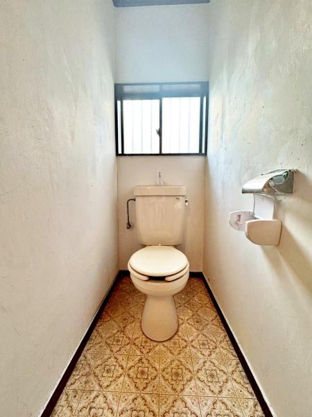 �����s�����q�s������̒��È�ˌ��Ẵg�C��