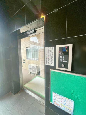 �����s�����q�s���؂̒��Ã}���V�����̃G���g�����X