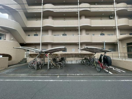 �����s�����q�s���؂̒��Ã}���V�����̂��̑����p��