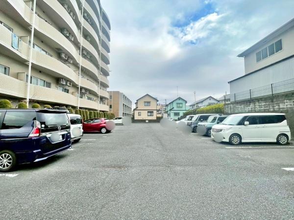 �����s�����q�s���؂̒��Ã}���V�����̉摜