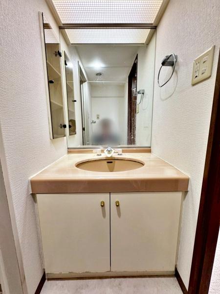 �����s�����q�s�Ǖ����̒��Ã}���V�����̐��ʑ�E���ʏ�