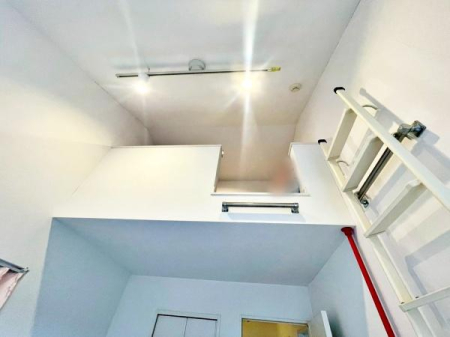 �����s�����q�s�l�J���̒��È�ˌ��Ă̗m��