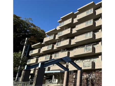 �����s�����q�s�ْ��̒��Ã}���V�����̌��n�O�ώʐ^