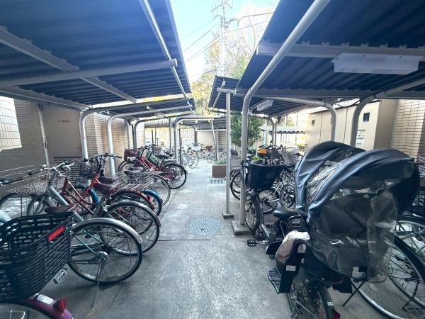 �����s������P����1���ڂ̒��Ã}���V�����̂��̑����p��