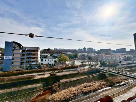 �����s�����q�s���M��2���ڂ̒��Ã}���V�����̃o���R�j�[