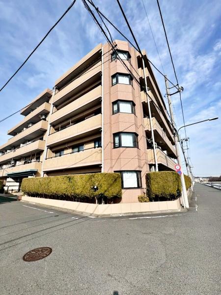 �����s�����q�s���M��2���ڂ̒��Ã}���V�����̌��n�O�ώʐ^