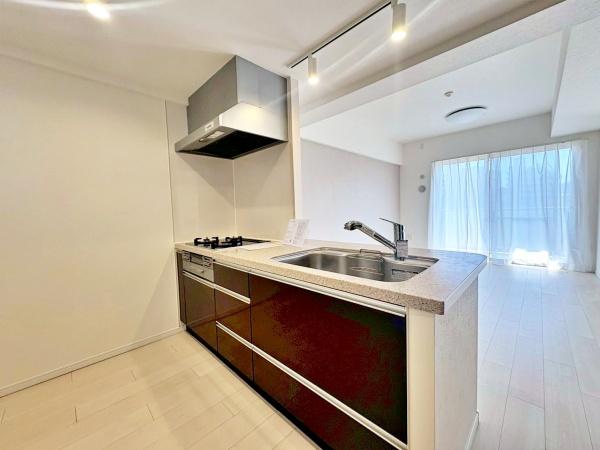 �����s�����q�s�x�V��2���ڂ̒��Ã}���V�����̃L�b�`��