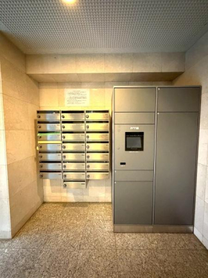 �����s�������1���ڂ̒��Ã}���V�����̂��̑����p��