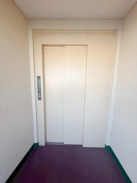 �����s�����扺�䑐5���ڂ̒��Ã}���V�����̂��̑����p��