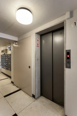 �����s����擌����2���ڂ̒��Ã}���V�����̂��̑����p��