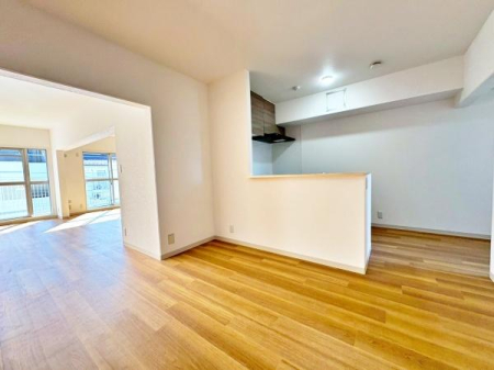 �����s�����q�s���؂̒��Ã}���V�����̃L�b�`��