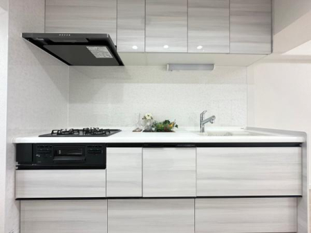 �����s�����q�s�Ǖ����̒��Ã}���V�����̃L�b�`��