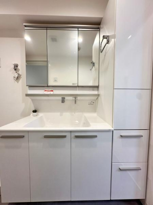 �����s�����q�s�Ǖ����̒��Ã}���V�����̐��ʑ�E���ʏ�