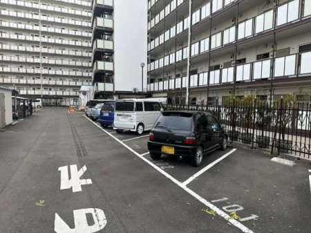 �����s�����q�s���c���̒��Ã}���V�����̉摜