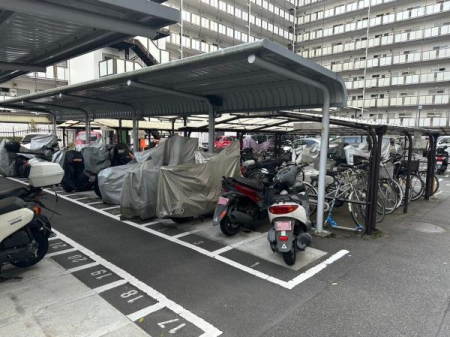 �����s�����q�s���c���̒��Ã}���V�����̂��̑����p��