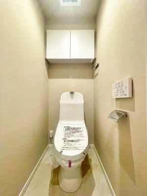 �����s�����q�s�����̒��Ã}���V�����̃g�C��