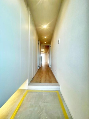 �����s�����q�s�����̒��Ã}���V�����̌���