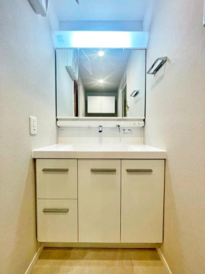 �����s�����q�s�����̒��Ã}���V�����̐��ʑ�E���ʏ�