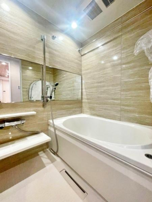 �����s�����q�s�����̒��Ã}���V�����̗���