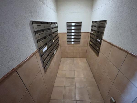 �����s�����]����3���ڂ̒��Ã}���V�����̂��̑����p��