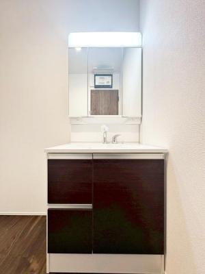 �����s�����q�s���[���̐V�z��ˌ��Ă̐��ʑ�E���ʏ�