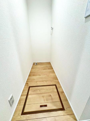 �����s�����q�s���[���̐V�z��ˌ��Ă̐��ʑ�E���ʏ�