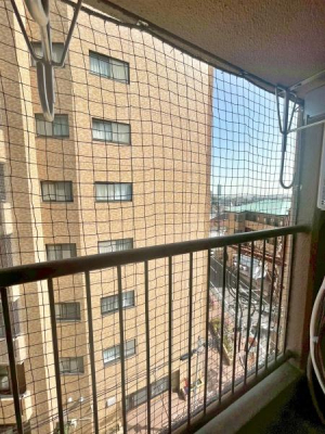 �����s�����q�s�Ǖ����̒��Ã}���V�����̃o���R�j�[