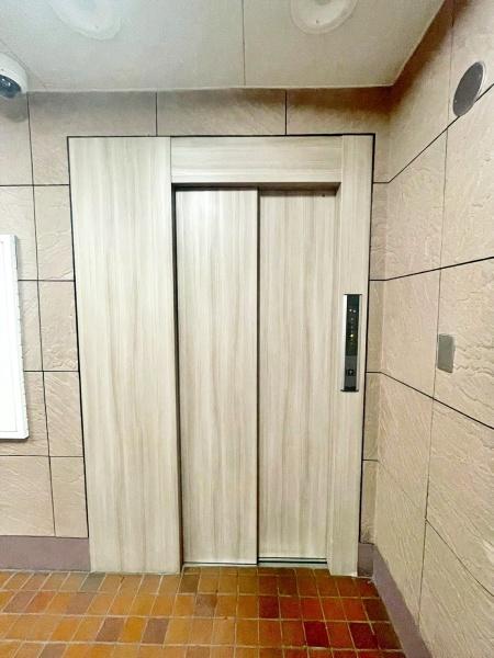 �����s�����q�s�Ǖ����̒��Ã}���V�����̂��̑����p��