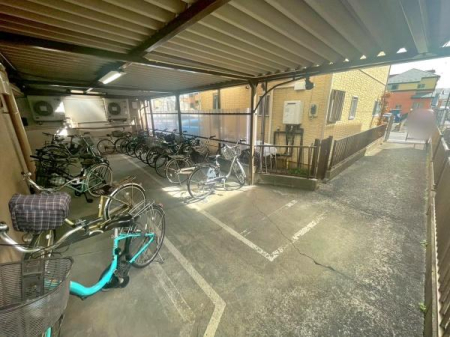 �����s�����q�s�Ǖ����̒��Ã}���V�����̂��̑����p��