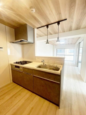 �����s�����q�s�Ǖ����̒��Ã}���V�����̃L�b�`��