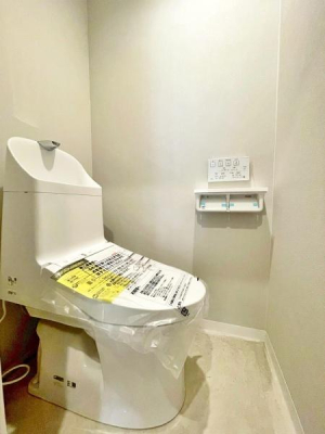 �����s�����q�s�Ǖ����̒��Ã}���V�����̃g�C��