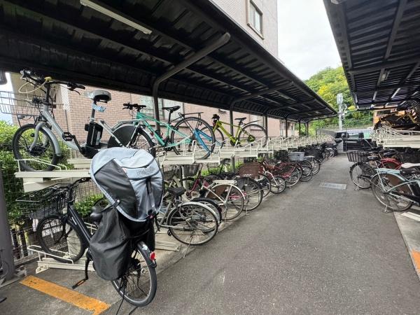 �����s�����q�s���؂̒��Ã}���V�����̂��̑����p��