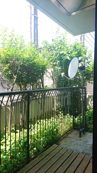 �����s���n��X���4���ڂ̒��Ã}���V�����̃o���R�j�[