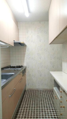 �����s���n��X���4���ڂ̒��Ã}���V�����̃L�b�`��