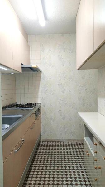 �����s���n��X���4���ڂ̒��Ã}���V�����̃L�b�`��