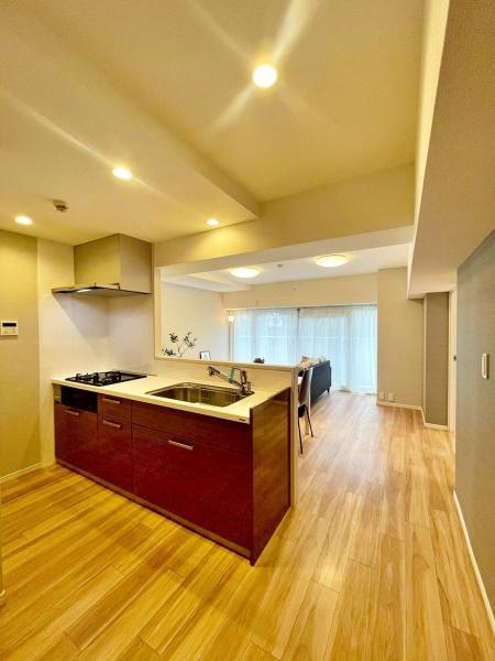 �����s�����q�s���_��1���ڂ̒��Ã}���V�����̃L�b�`��