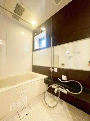 �����s�����q�s�����̒��Ã}���V�����̗���