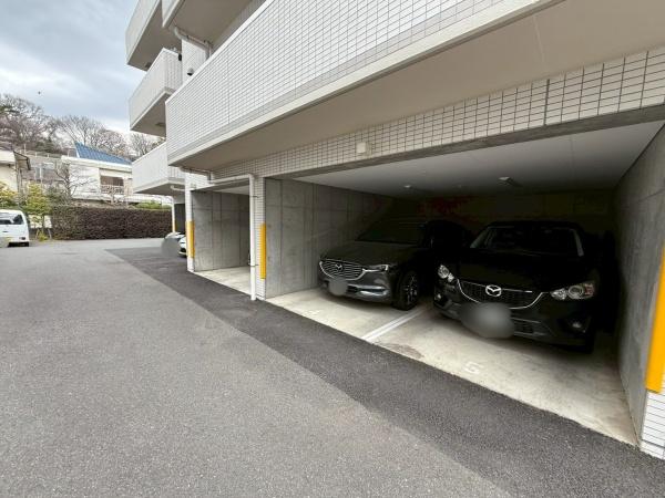 �����s���c�J����3���ڂ̒��Ã}���V�����̉摜