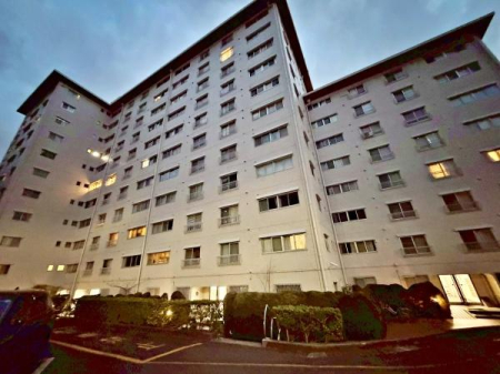 �����s���c�J�搣�c4���ڂ̒��Ã}���V�����̌��n�O�ώʐ^