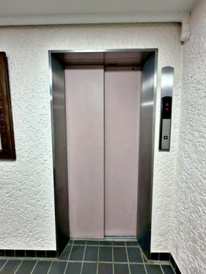 �����s���c�J�搣�c4���ڂ̒��Ã}���V�����̃G���g�����X