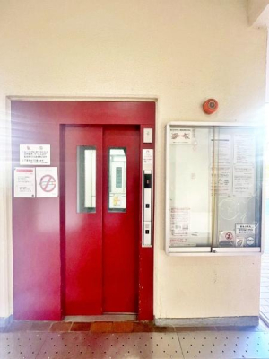 �����s�����s�����u3���ڂ̒��Ã}���V�����̂��̑����p��