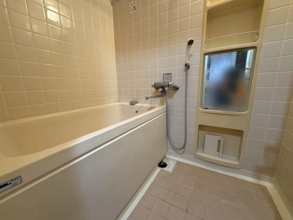 �����s�����q�s�Ǖ����̒��Ã}���V�����̗���