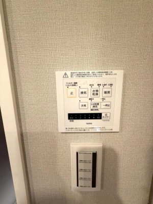 �����s���c�J����2���ڂ̒��Ã}���V�����̂��̑�����