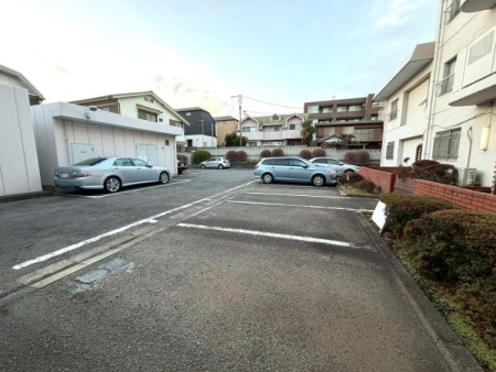 �����s���c�J���p��3���ڂ̒��Ã}���V�����̉摜