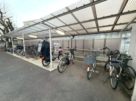 �����s���c�J���p��3���ڂ̒��Ã}���V�����̂��̑����p��