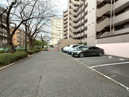 �����s�V�h��㗎��1���ڂ̒��Ã}���V�����̉摜