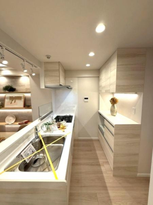 �����s�V�h��㗎��1���ڂ̒��Ã}���V�����̃L�b�`��