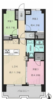 �����s�V�h��㗎��1���ڂ̒��Ã}���V�����̊Ԏ��}